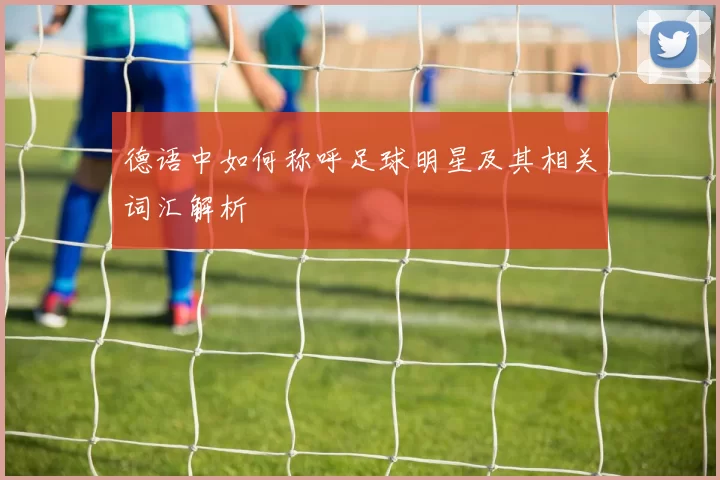 德语中如何称呼足球明星及其相关词汇解析