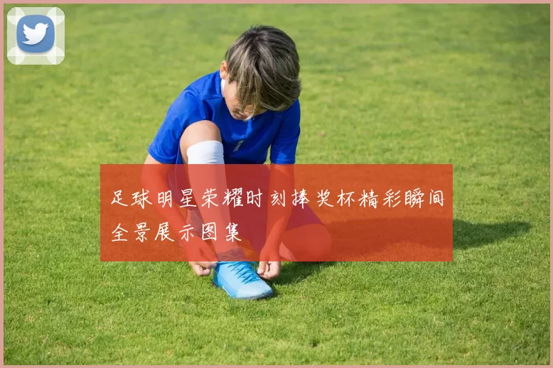 足球明星荣耀时刻捧奖杯精彩瞬间全景展示图集