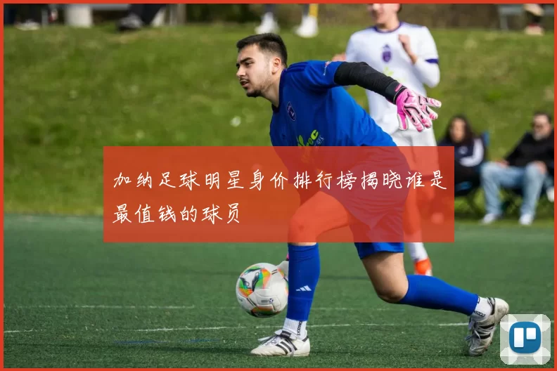 加纳足球明星身价排行榜揭晓谁是最值钱的球员