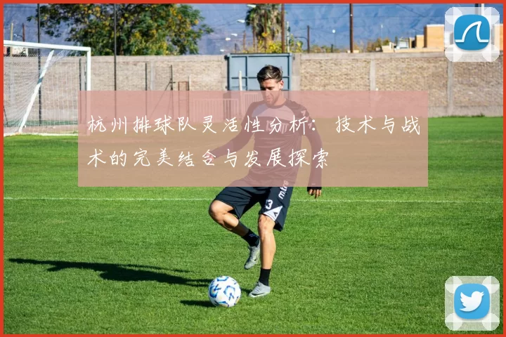 杭州排球队灵活性分析：技术与战术的完美结合与发展探索