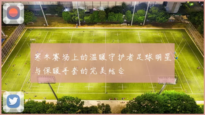 寒冬赛场上的温暖守护者足球明星与保暖手套的完美结合