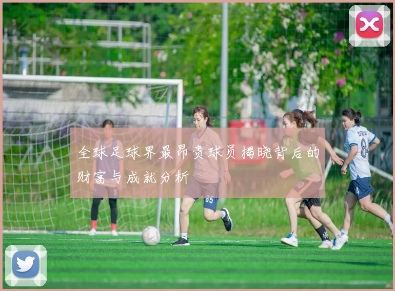 全球足球界最昂贵球员揭晓背后的财富与成就分析