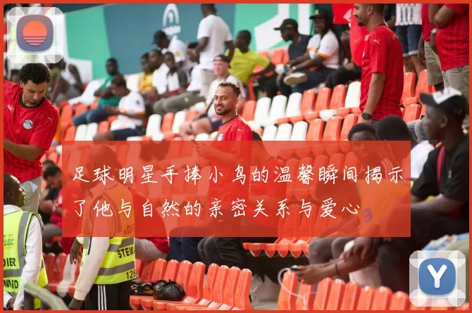 足球明星手捧小鸟的温馨瞬间揭示了他与自然的亲密关系与爱心