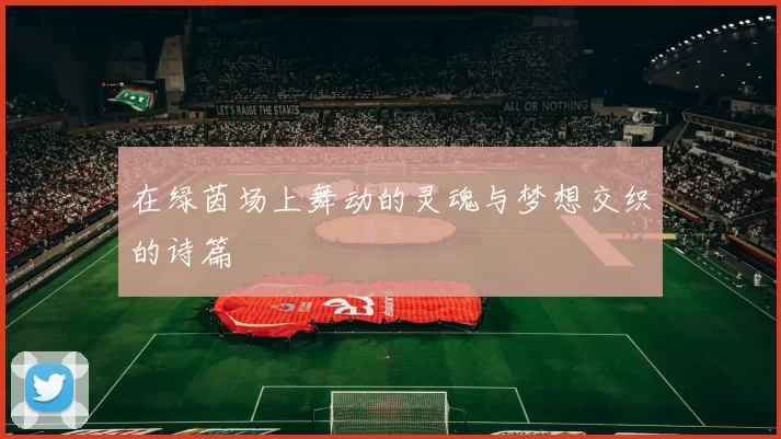 在绿茵场上舞动的灵魂与梦想交织的诗篇