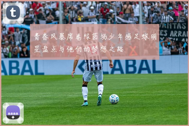 青春风暴席卷绿茵场少年感足球明星盘点与他们的梦想之路