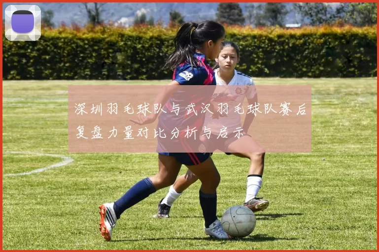 深圳羽毛球队与武汉羽毛球队赛后复盘力量对比分析与启示