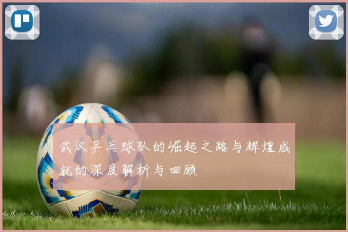 武汉乒乓球队的崛起之路与辉煌成就的深度解析与回顾