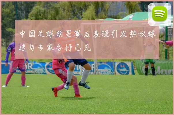 中国足球明星赛后表现引发热议球迷与专家各抒己见