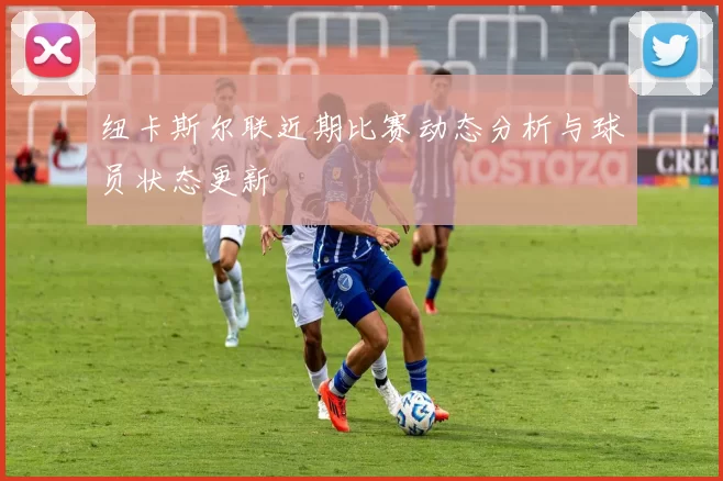 纽卡斯尔联近期比赛动态分析与球员状态更新