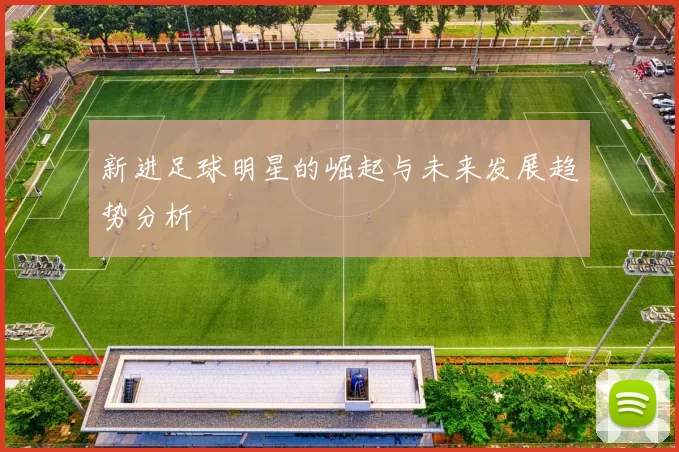 新进足球明星的崛起与未来发展趋势分析