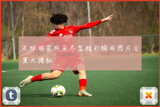 足球明星风采尽显精彩瞬间图片合集大揭秘